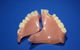 Advance Oral Denture Clinic - thumb 16
