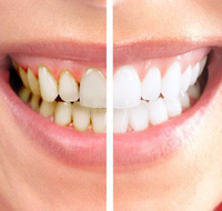 Graham johnson dental surgeon - Dentists Hobart