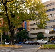 St Vincent's Dental Centre - Dentists Hobart