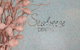 Seabreeze Dental - thumb 6