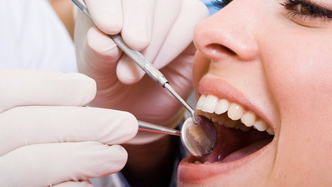 Bligh Park Dental - Dentists Hobart 1