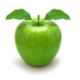 Wollombi NSW Dentists Hobart