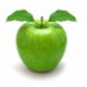 Dental Lovedale, Dentists Hobart Dentists Hobart