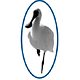  Dentists Hobart