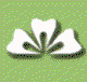 Soni Dental - Dentists Hobart