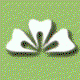 Soni Dental - Dentists Hobart 0