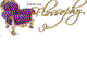 Dental Flossophy - Dentists Hobart